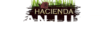 Hacienda San Luis Nogales